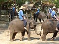 Chiang Mai P0138 Maetaman Elephant Camp